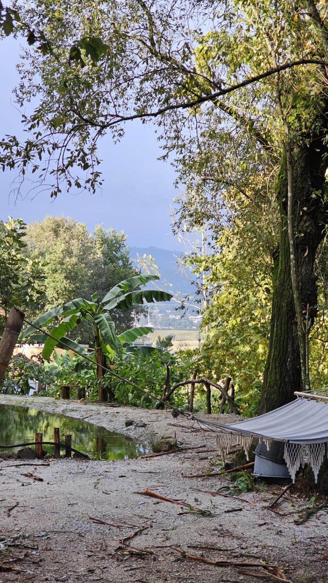 Quinta Miminel Ξενοδοχείο Rabuide Εξωτερικό φωτογραφία